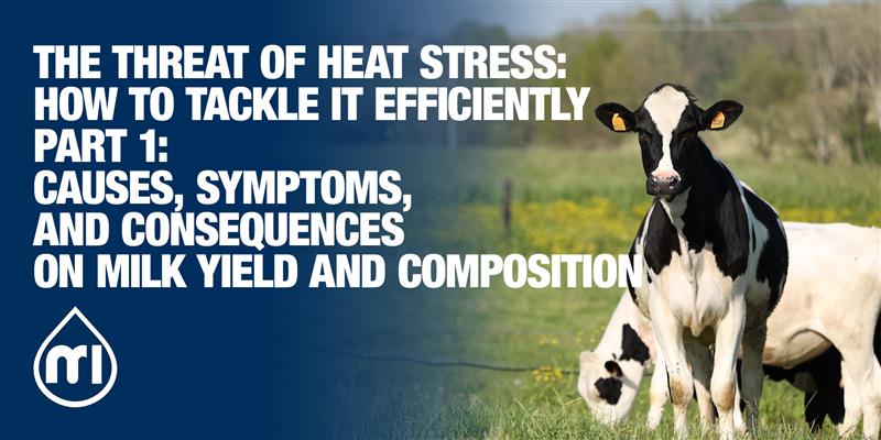 The threat of heat stress: how to tackle it efficiently - Part 1: Causes, symptoms, and consequences on milk yield and composition 