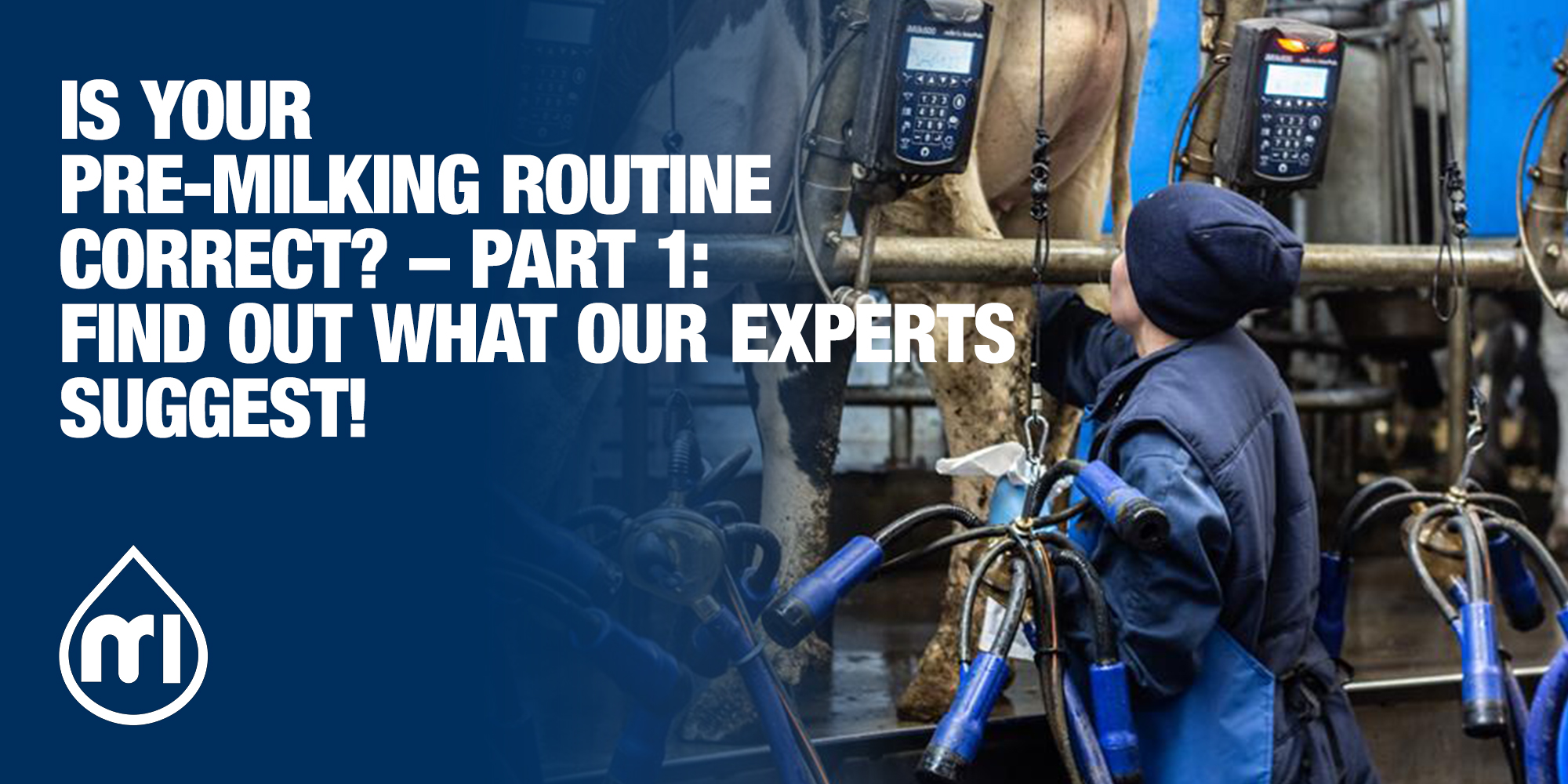 Is your pre-milking routine correct? – Part 1: Find out what our experts suggest!