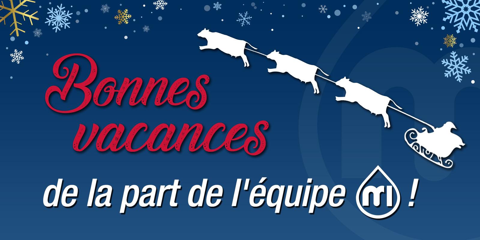 Christmas Banner FRA