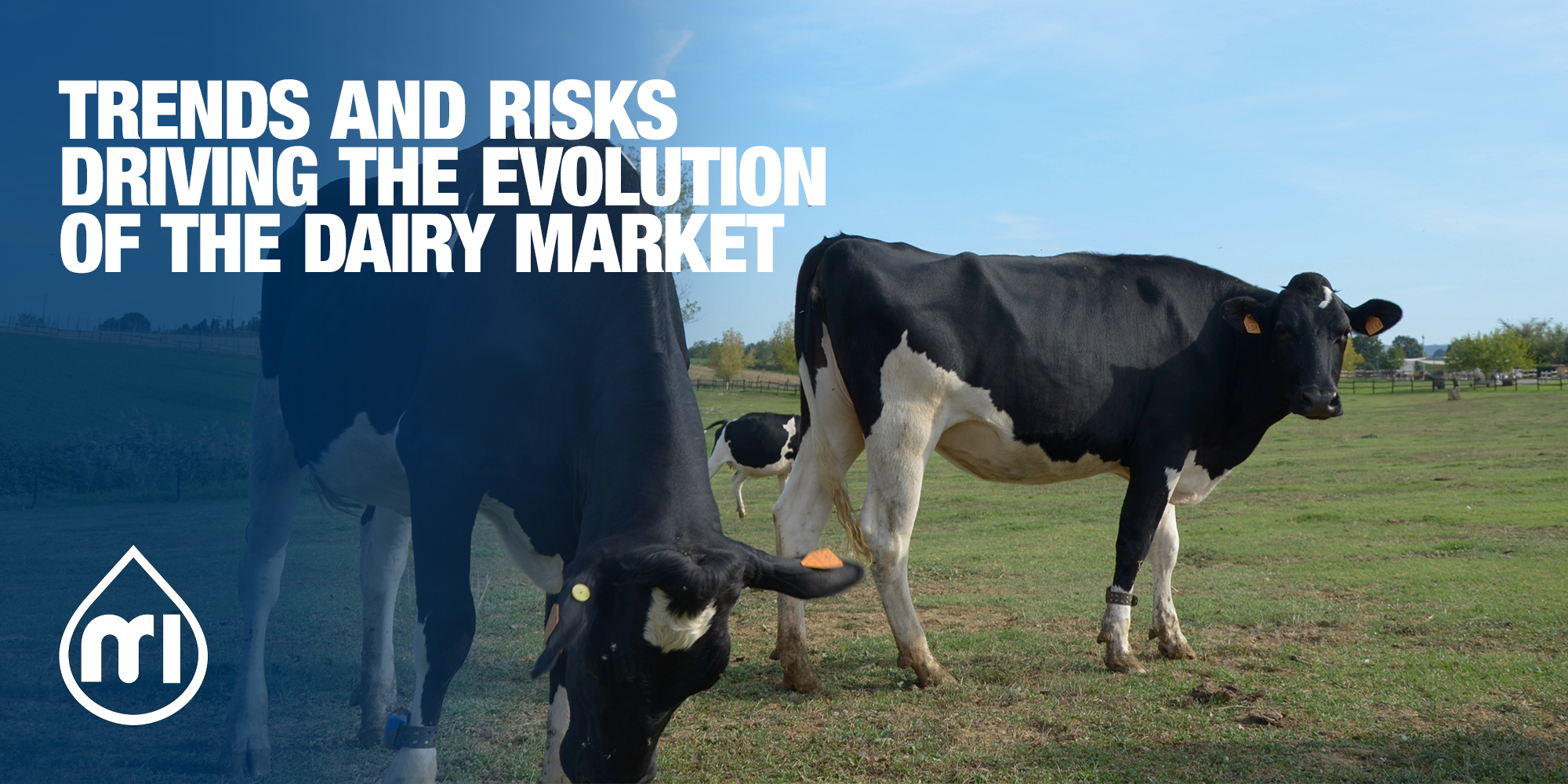 Trends and risks driving the evolution of the dairy market