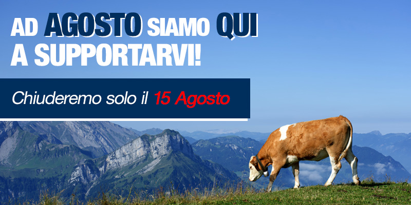 Website Banner ITA